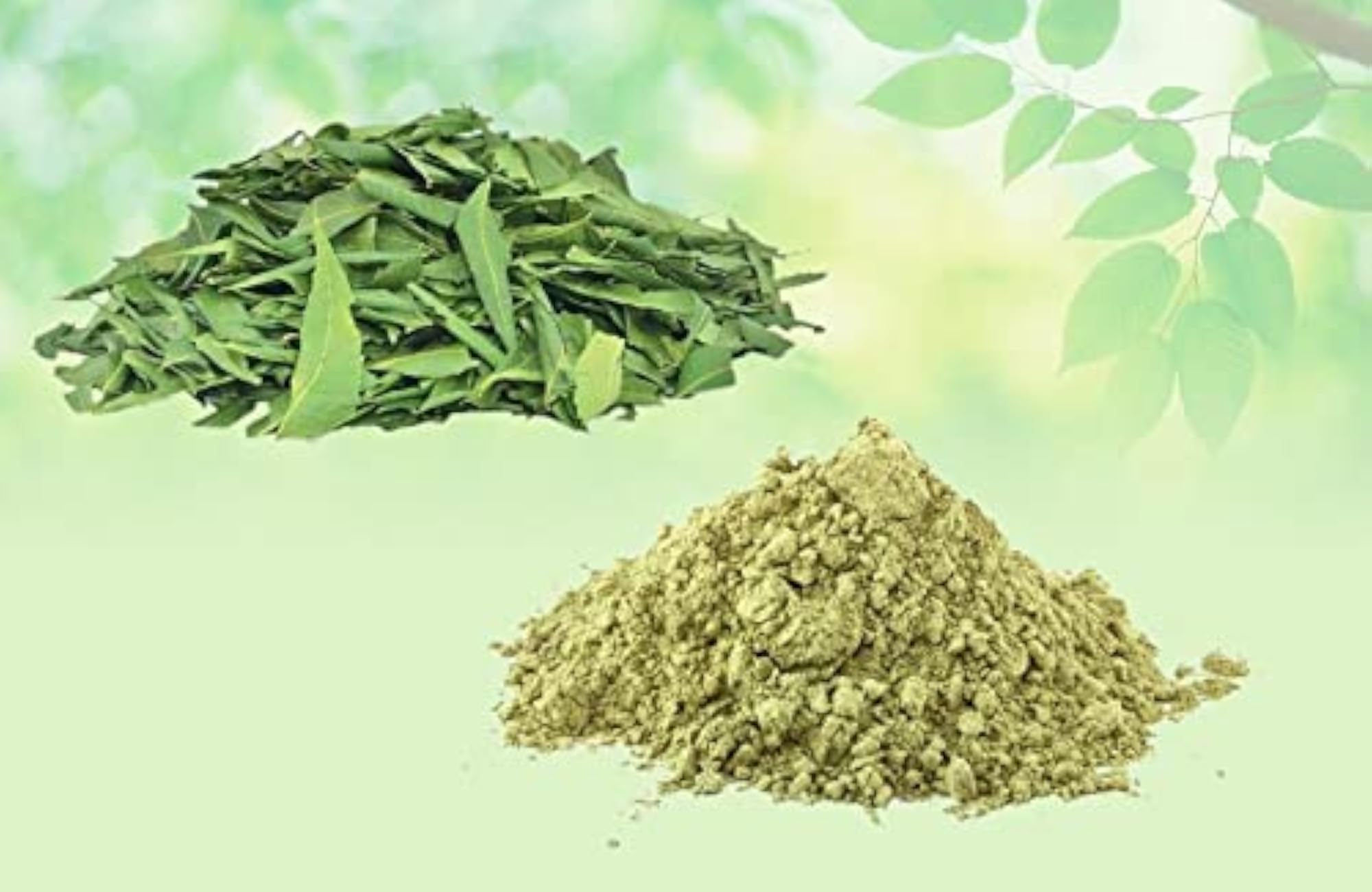 Neem Leaves Powder, 250 Grams